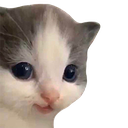 7303hehe Discord Emoji - Roblox LatinoAmerica⭐