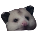 lilsquirt custom emote | Rabbit Hole