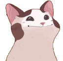 PogCatAnimated animated Discord emote - WeChat!