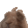 rabbitdance animated Discord emote - ⁽¹⁸⁺⁾ miao ୨ৎ