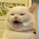emoji_61 Discord sticker from 遊戲小鎮
