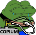 Copium Discord sticker | WONDERLAND