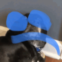 dogsad Discord sticker | Vine(yl)💽