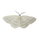 emoji1 Discord sticker from The Gardens Death-path