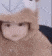 littile_godfire_cute animated GIF emoji | EVOLUTION