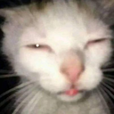 goofy_ah_cat custom emote - Heart.exe