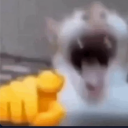 A blurry white cat with an open mouth pointing a yellow cartoon finger directly forward.