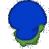 pepecircle animated Discord emote - Adultcord│Social & Gaming