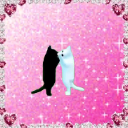 A black cat and a white cat nuzzling each other in front of a sparkling pink heart-framed background.