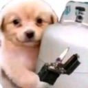 A golden puppy holding a lit lighter with a mischievous expression.