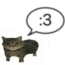 GatoCute Discord Emoji from Roblox LatinoAmerica⭐