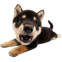 HAP_LAY Discord Emoji - 𝐓𝐡𝐞 𝐂𝐫𝐞𝐚𝐭𝐮𝐫𝐞 𝐏𝐥𝐚𝐲𝐩𝐞𝐧