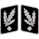 SSGruppenfhrer_Collar_Rank Discord sticker from Macuspana Empire
