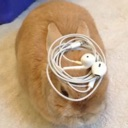 bunny_phones custom emote from The Lumberyard™
