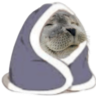 8398snugwalrus custom emote - 𝒂𝒖𝒓𝒂