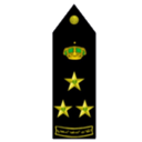 Military rank insignia featuring a crown and two stars on a black background.