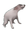 emoji_33 animated GIF emoji | 『 𝐙𝐀𝐑𝐊 𝐂𝐎𝐌𝐌𝐔𝐍𝐈𝐓𝐘 』