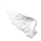 wing1 animated Discord emote | 𐔌 ིྀ Pawberry ₊