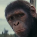Caesar the chimpanzee looking directly at the camera with a skeptical and judgmental expression.