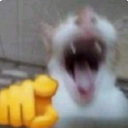 laughingatyou Discord sticker from Hamara Server