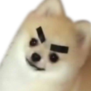 mad_doggo custom emote | DM Request 📪 ⌇ Ask To DM & Chatting ⌇ Non Dating ⌇ Social ⌇ Friendly ⌇ Nitro ⌇Non Toxic