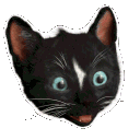 emoji_18 animated GIF emoji - DTFC - THE CONVENANT