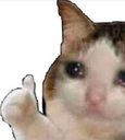 A crying cat with teary eyes holding up a paw in a thumbs up gesture.