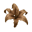 nf2u_necro15 animated Discord emote | ノnecro (slow revamp)