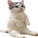 CatSittingVeryComfortable Discord Emoji - Besties Community
