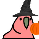 pumpkinparrot animated Discord emote - (っ◔◡◔)っ ♥ Infinity Hub ♥™