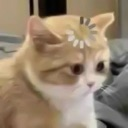 emoji_37 custom emote | NV