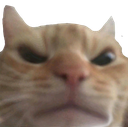 c_1madcat custom emote | 🎤 Riff-Off | Singing, Games, Daily Events, Community