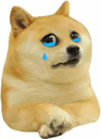 DogeSad Discord Emoji | KRNL