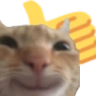 catstare_thumbsup custom emote | ATGs (All The Gamers)