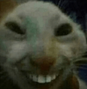 catsmile custom emote | RIZZ HEAVEN | Chill • Hangout • VC • SFW • Events • Friends • Giveaways • Ask to DM • Non Dating
