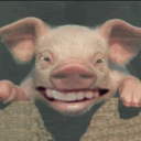johnpork Discord Emoji - VTubeYork