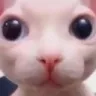 otromeme Discord Emoji from the gaang