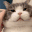 FR_catpet animated GIF emoji from Friends 18+ Sfw | Adults-only • active-chat • Mature • Friendly • Gaming • Lgbtq+ • Hangout