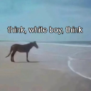 A horse standing on a sandy beach with the text 'think, white boy, think' overlaid above it.
