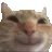 Happy custom emote | MoneyHubOnline