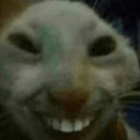 CatSmile custom emote from Moderator Academy