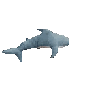 shork animated emote from Sapphic Kingdom