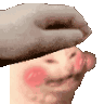 CatoHappyPat animated Discord emote - Besties Community