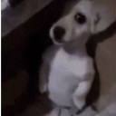 emoji_22 custom emote | Clan LOL