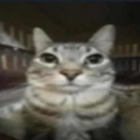 mood_car custom emote from 𝐃𝐫𝐚𝐠𝐨𝐧 𝐊𝐢𝐧𝐠  | S1