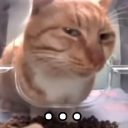 OOHH_I_SEE Discord Emoji - 𝙰𝚄𝚁𝙾𝚁𝙰™ | 𝚂𝚘𝚌𝚒𝚊𝚕 • 𝙶𝚊𝚖𝚒𝚗𝚐 • 𝙽𝚘𝚗-𝚃𝚘𝚡𝚒𝚌 • 𝙷𝚊𝚗𝚐𝚘𝚞𝚝𝚜 • 𝙳𝚊𝚝𝚒𝚗𝚐 • 𝙶𝚠𝚢𝚣 • 𝙴𝚟𝚎𝚗𝚝𝚜 • 𝙵𝚞𝚗