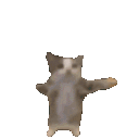 catdance animated Discord emote from 𝘙𝘌𝘈𝘓𝘐𝘛𝘠 𝘈𝘞𝘈𝘐𝘛𝘚... but after 24.7