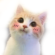 97 Discord Emoji | 🦄🌸Gatos Cósmicos🌸🦄