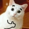 White cat with drawn-on eyebrows giving a thumbs up gesture.