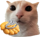 Ring Discord sticker | Pinay | Voice Chat • Social • Emojis & Stickers • Icons